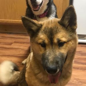 Meet your Posher, Amber